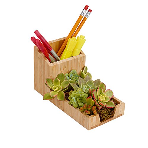 MobileVision Bamboo Pencil Holder with Tray for Storing and organizing Small Stationary Items Such as paperclips, Business Cards, and notepads