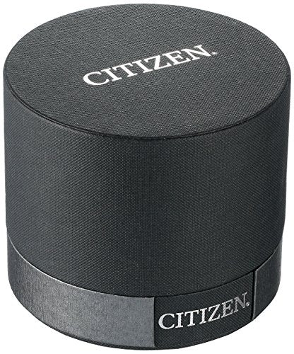 Citizen Men's Quartz Stainless Steel Watch with Day/Date, BF0580-06E